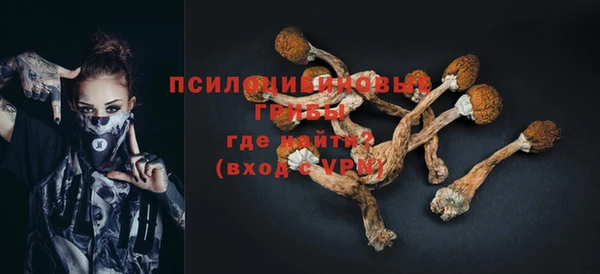 прущие крисы Вяземский