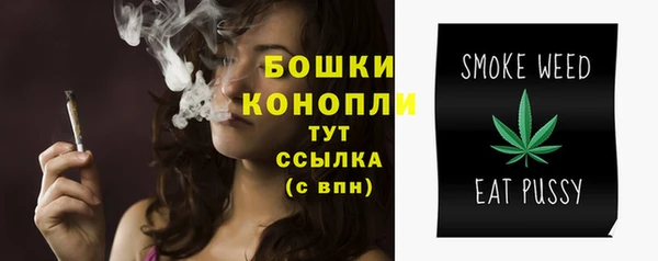 ГАЛЛЮЦИНОГЕННЫЕ ГРИБЫ Володарск