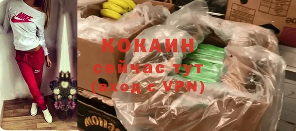 прущие крисы Вяземский