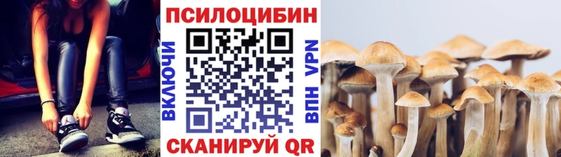 OMG ссылка Малаховка Галлюциногенные грибы Magic Shrooms сколько стоит